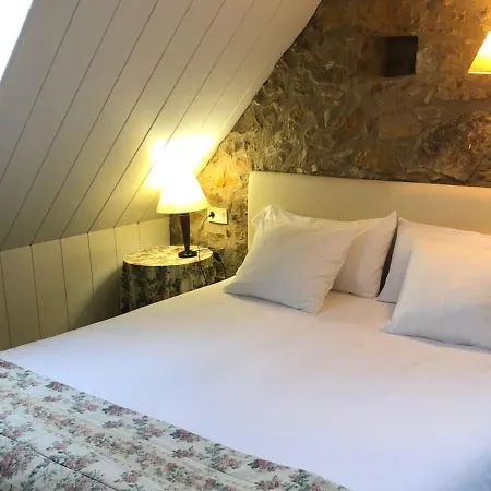 Hotel Hotel Xalet La Coromina Viladrau